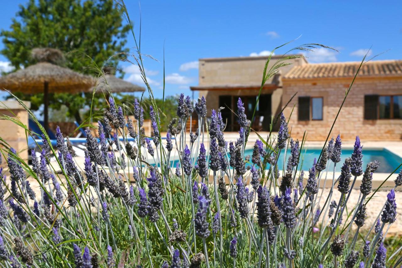 Finca Tiana Сес Салинес Екстериор снимка